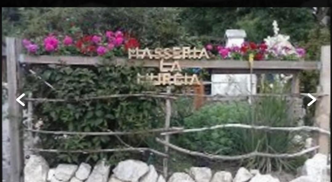 Wildcamp Resort Masseria La Murgia Unterkunft In Einem Wohnwagen Rimbach  Exteriör bild