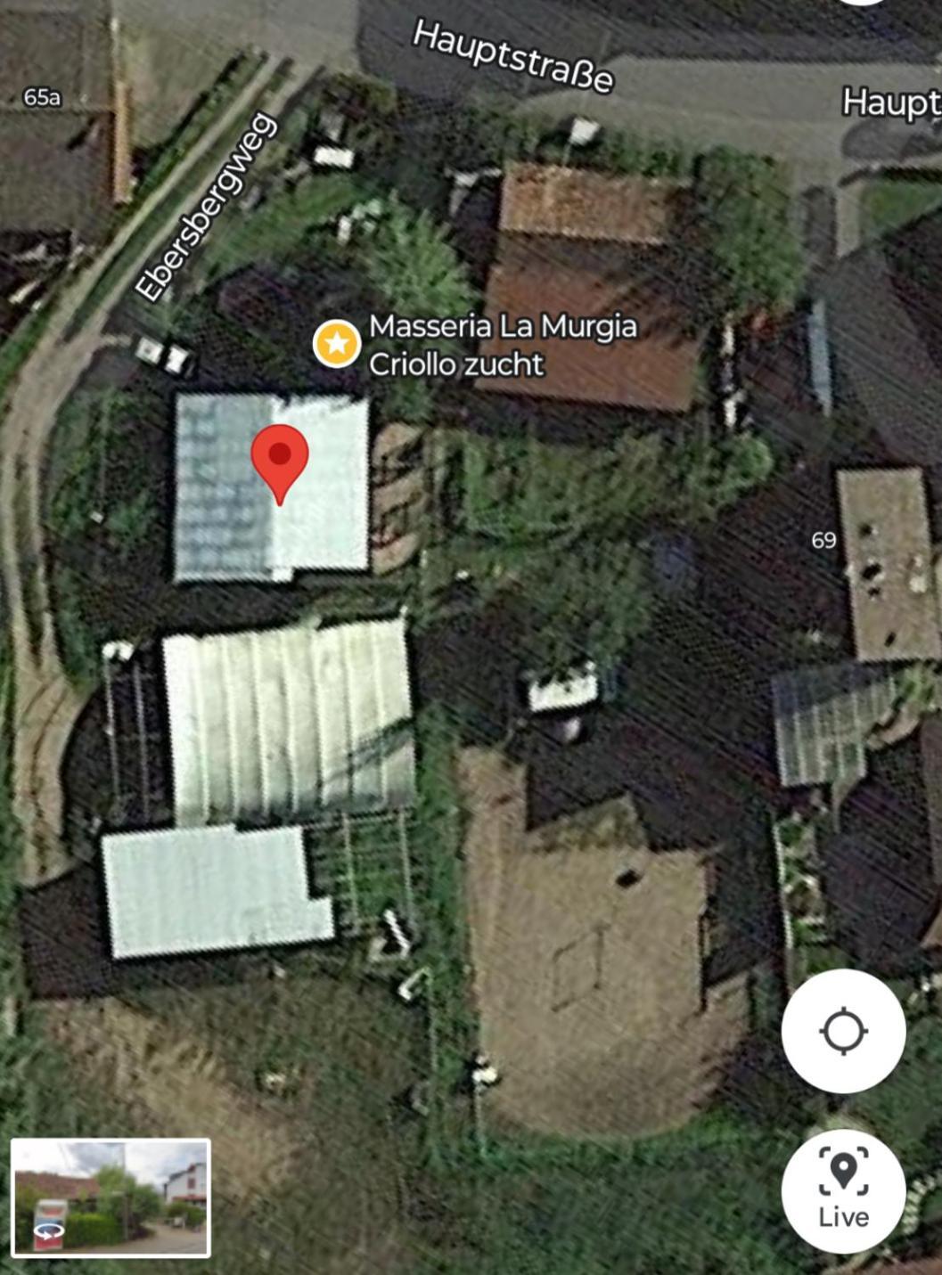 Wildcamp Resort Masseria La Murgia Unterkunft In Einem Wohnwagen Rimbach  Exteriör bild